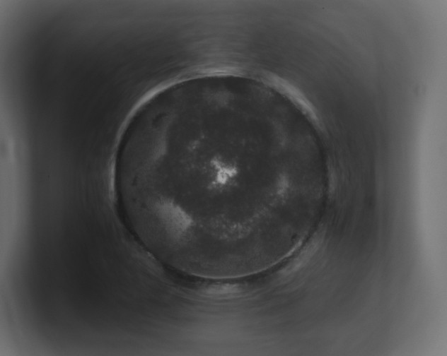 X0000101101174200806261506