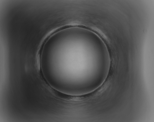 X0000101101175200806261506