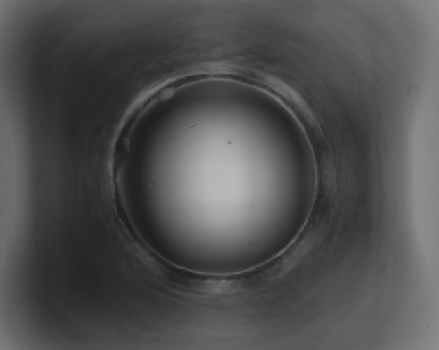 X0000101101176200806261506