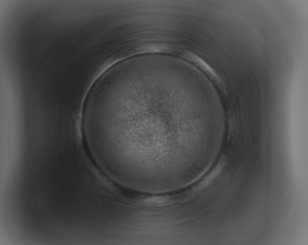 X0000101101178200806261506