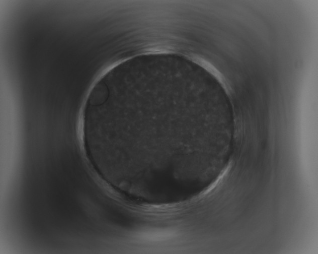 X0000101101179200806261506