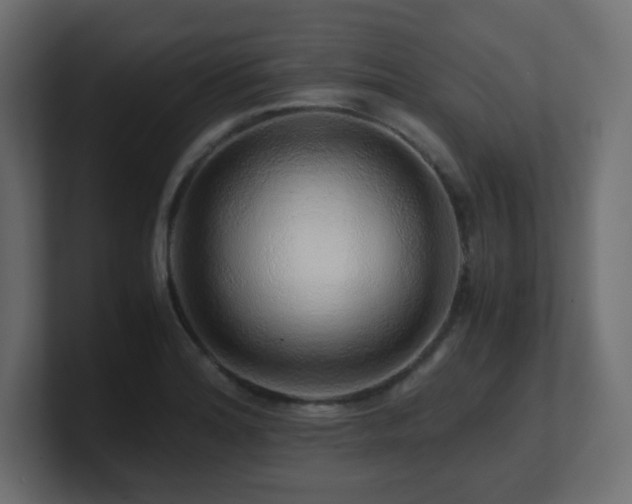 X0000101101180200806261506
