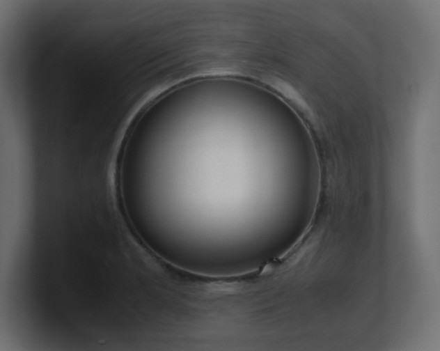 X0000101101181200806261506
