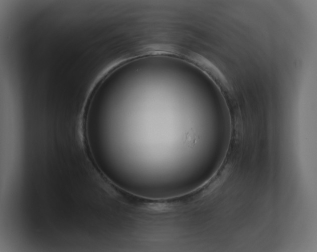 X0000101101182200806261506