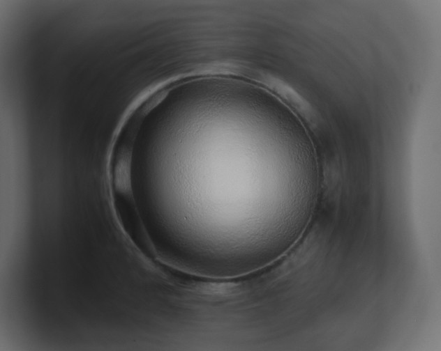 X0000101101184200806261506