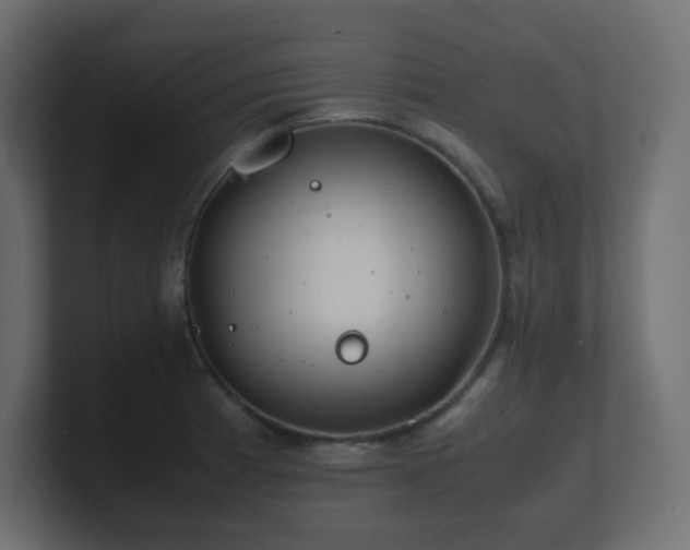 X0000101101185200806261506