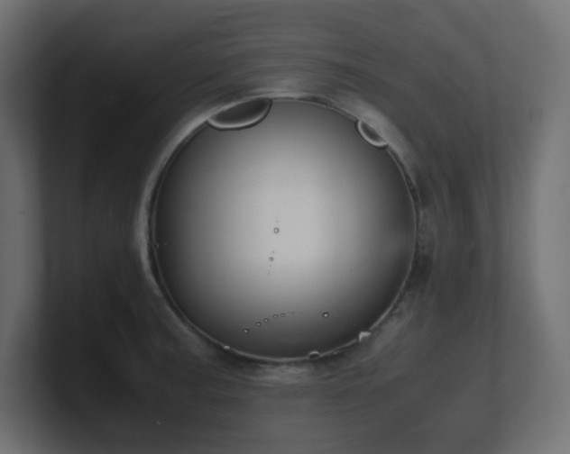 X0000101101187200806261506
