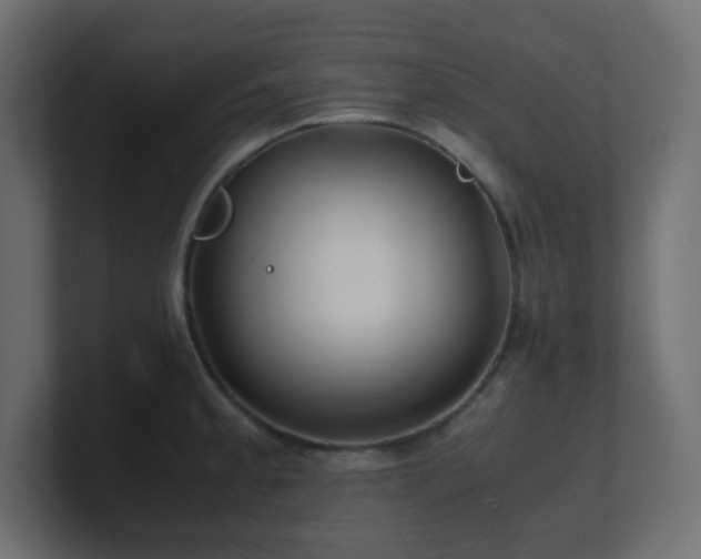 X0000101101189200806261506