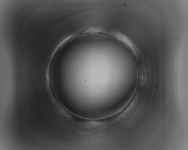 X0000101101190200806261506