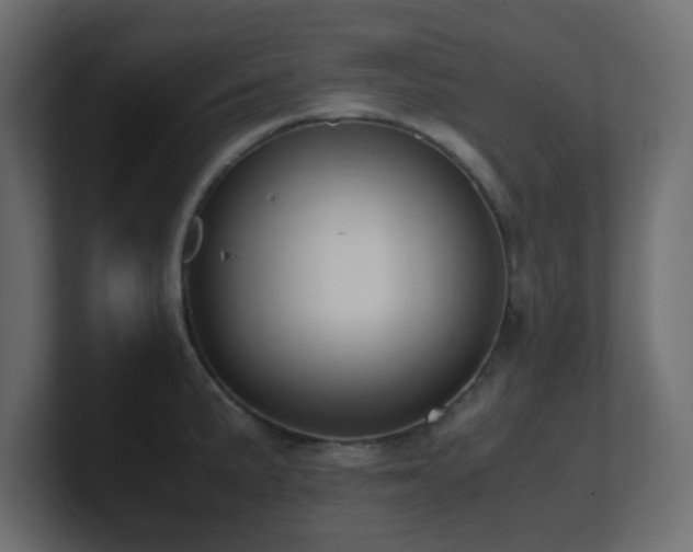 X0000101101191200806261506
