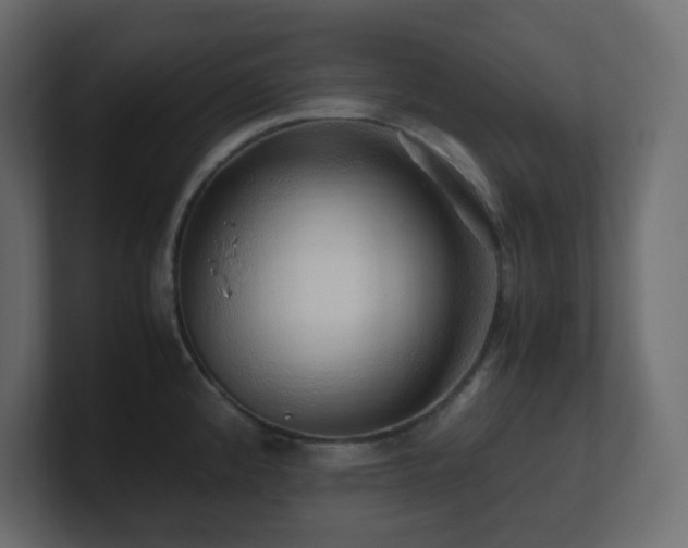 X0000101101192200806261506