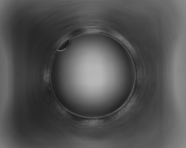 X0000101101193200806261506