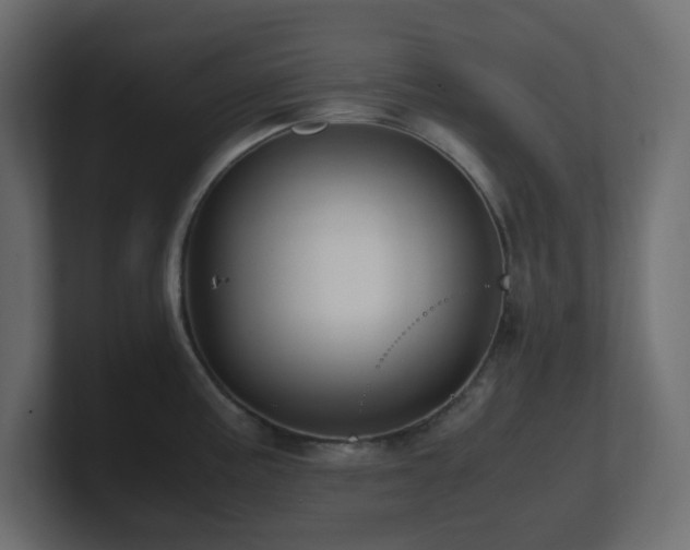 X0000101101195200806261506
