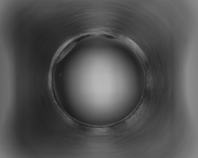 X0000101101196200806261506