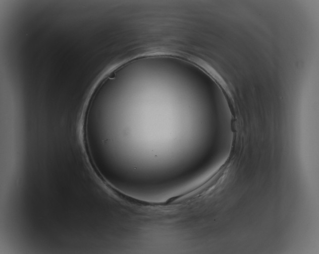 X0000101101197200806261505