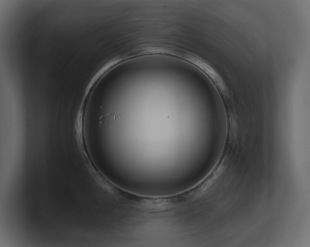X0000101101198200806261505