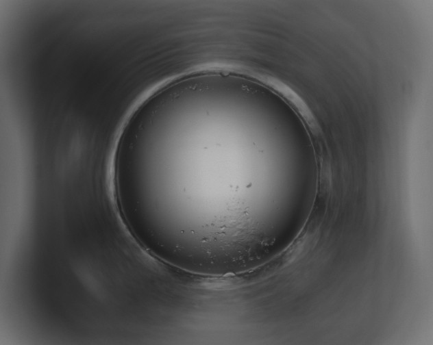 X0000101101199200806261505
