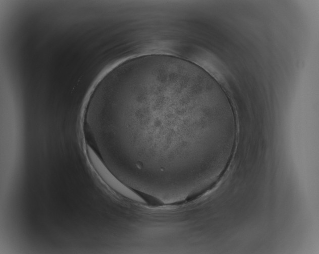 X0000101101200200806261505