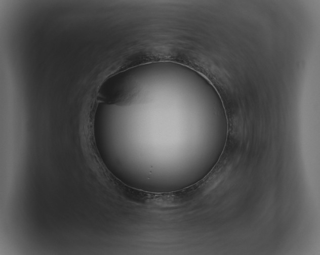 X0000101101201200806261505