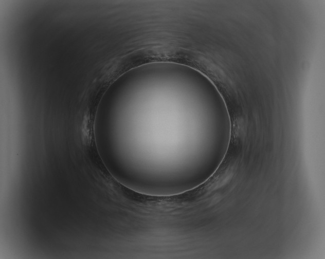 X0000101101202200806261505