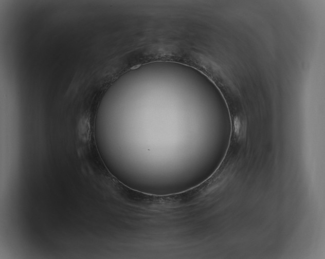 X0000101101203200806261505