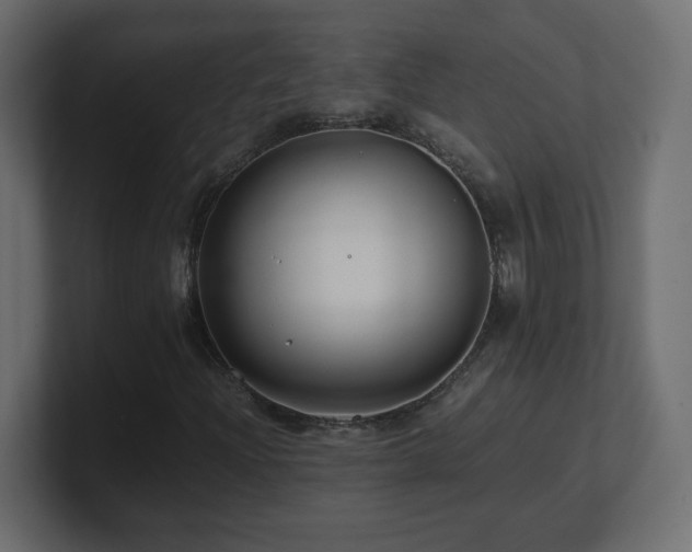 X0000101101204200806261505