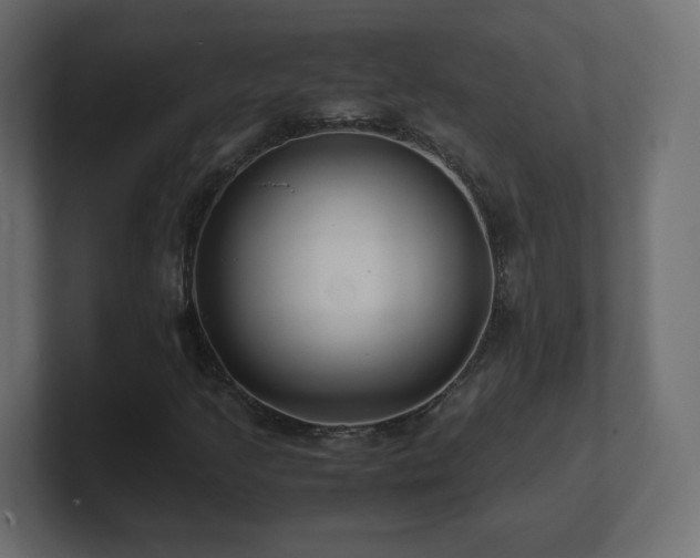 X0000101101205200806261505