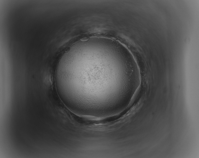 X0000101101206200806261505