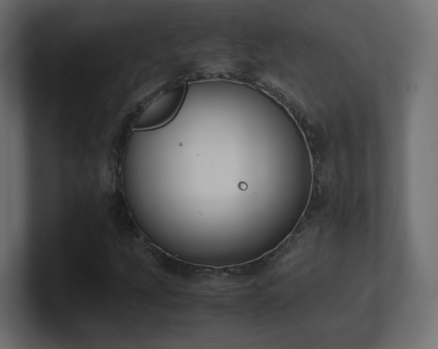X0000101101207200806261505