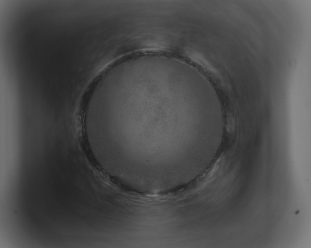 X0000101101208200806261505