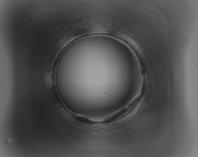 X0000101101212200806261505