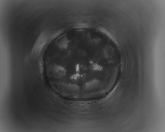 X0000101101213200806261505