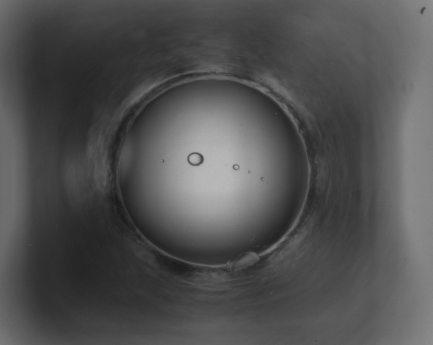 X0000101101215200806261505