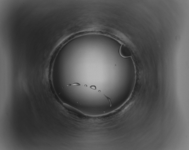 X0000101101216200806261505