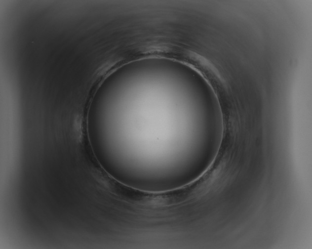 X0000101101217200806261505