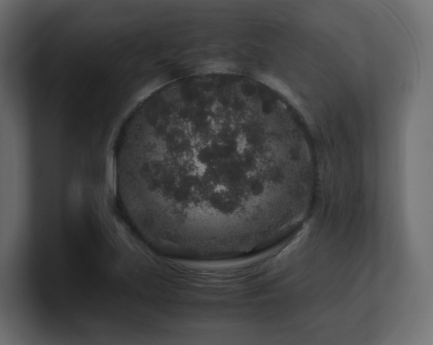 X0000101101219200806261505