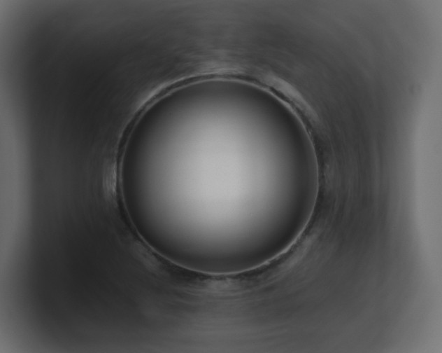 X0000101101220200806261505