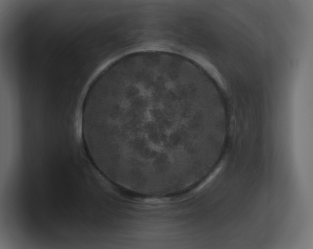 X0000101101224200806261505