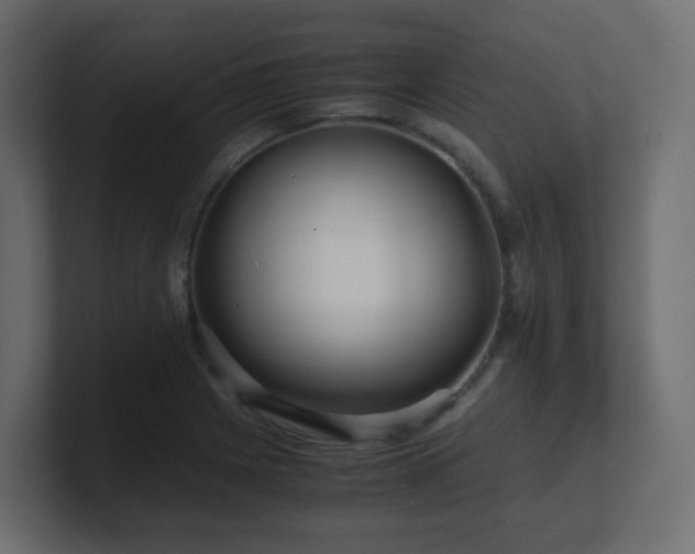 X0000101101225200806261505