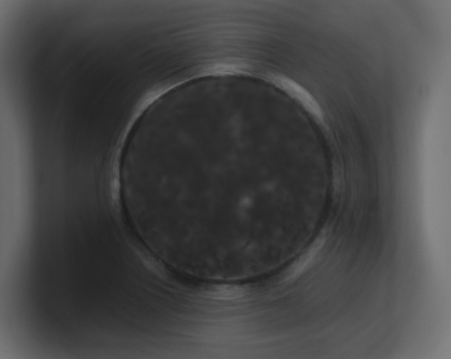 X0000101101226200806261505