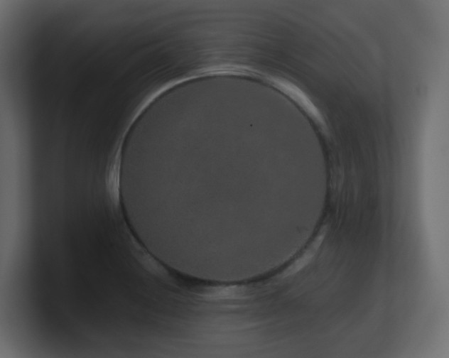 X0000101101228200806261505