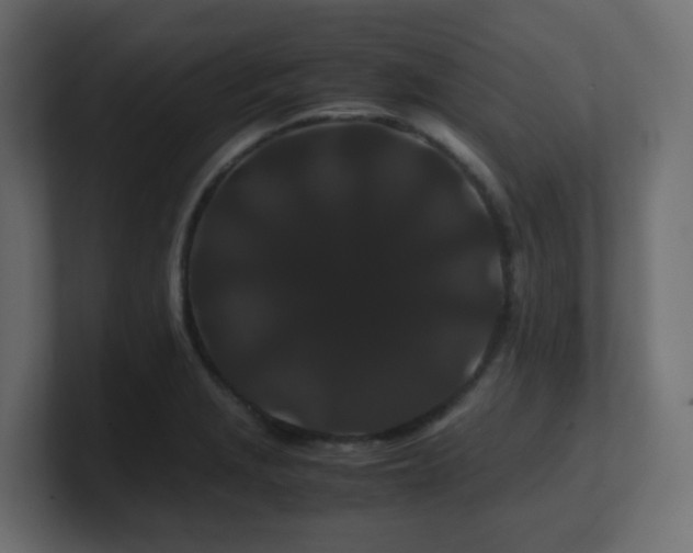 X0000101101229200806261505
