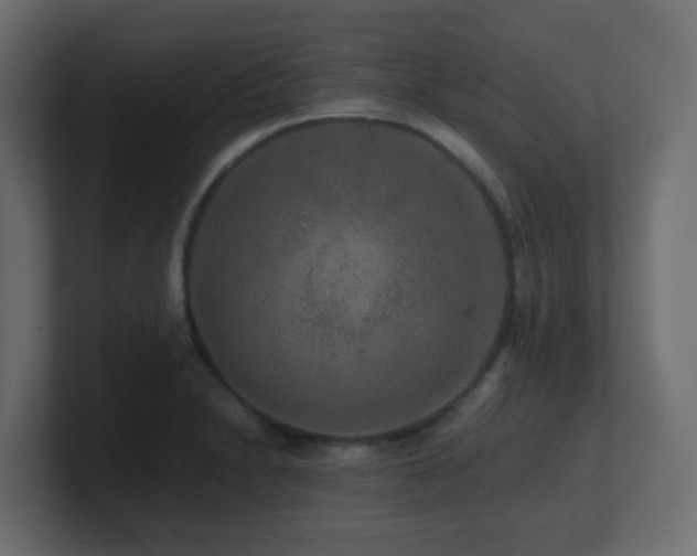X0000101101230200806261505