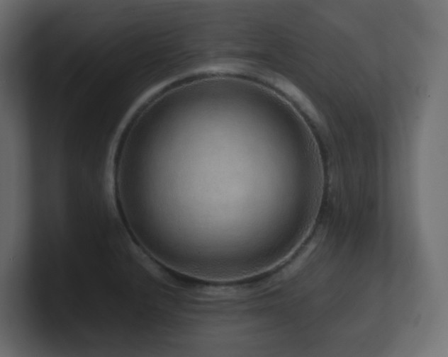 X0000101101232200806261505