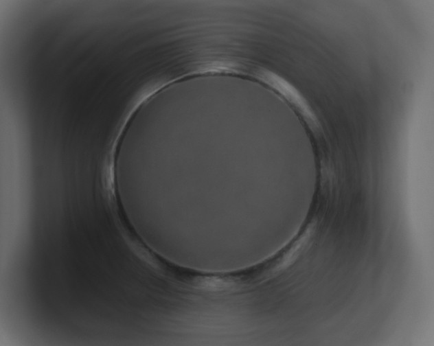 X0000101101234200806261505