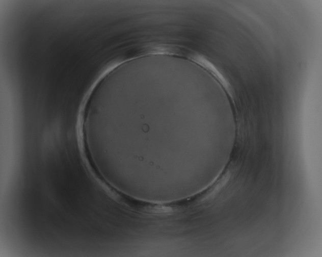 X0000101101235200806261505