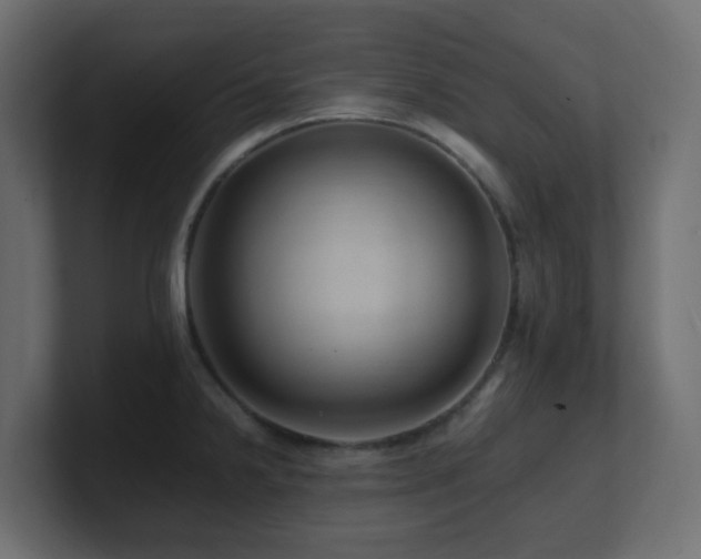 X0000101101238200806261505