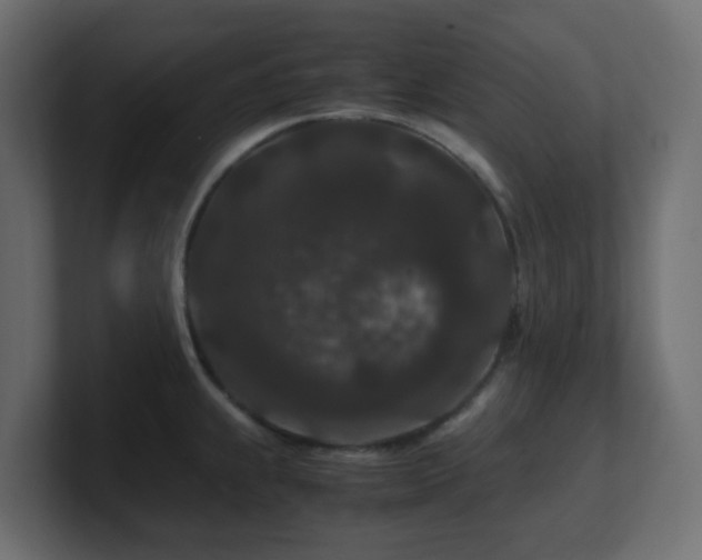 X0000101101239200806261505