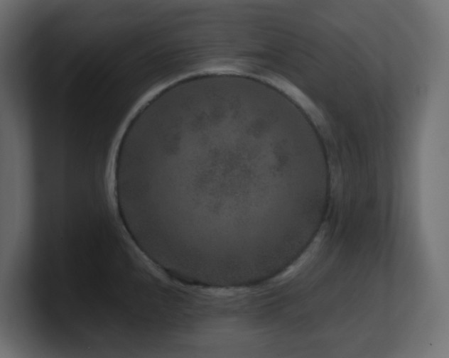 X0000101101240200806261505