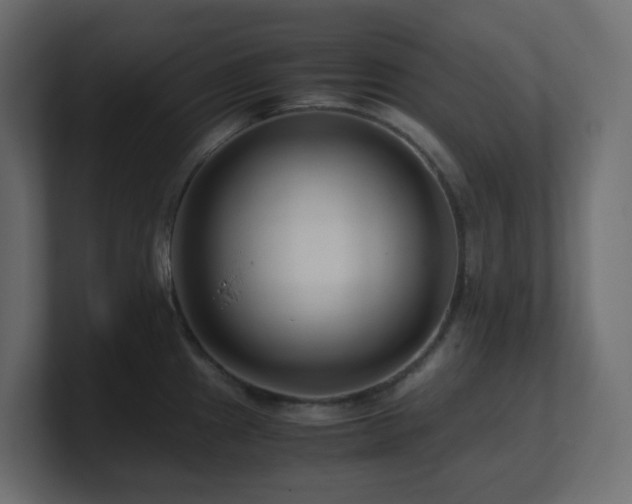 X0000101101241200806261505